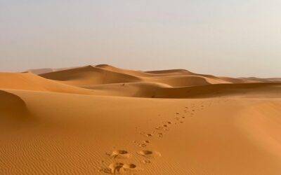 The Beliefs of the Muslims regarding the Sahaabah (Radhiyallahu Anhum)