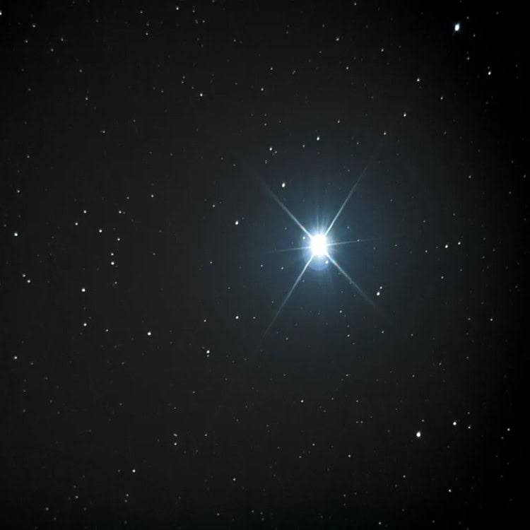 3_vega_3618716279_949be4d25f_o_web