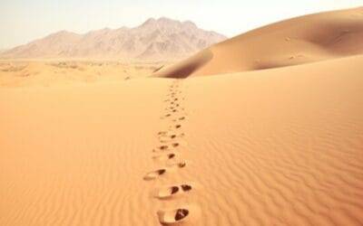 Steadfastness on Islam