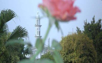 The Third Most Beloved to Rasulullah صلی الله عليه وسلم